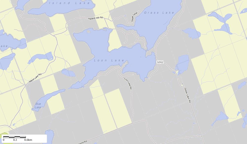 Crown Land Map of Loon Lake in Municipality of Kearney and the District of Parry Sound